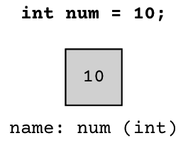 The text "int num = 10;" above a grey box with a 10 inside, with the label "name: num (int)" underneath.